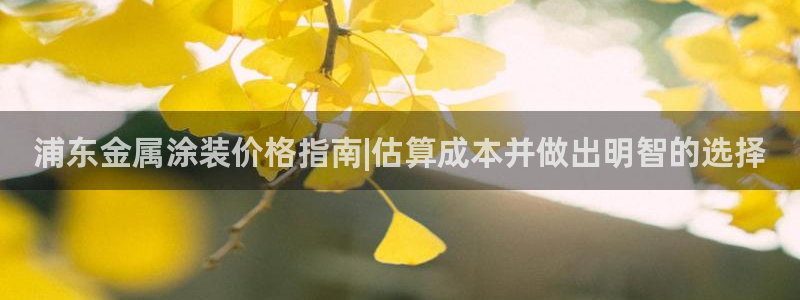 美高梅几星级酒店?