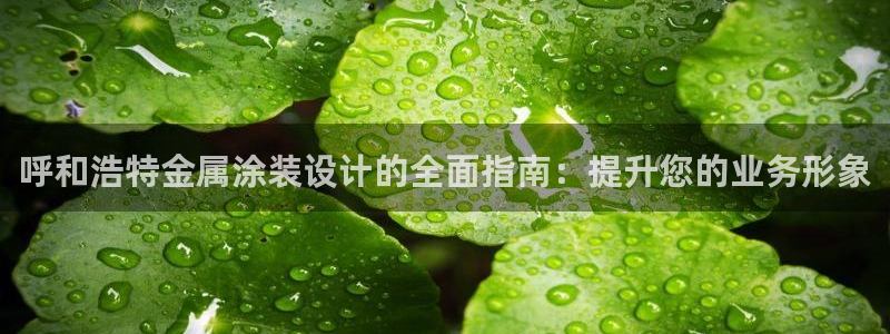 美狮美高梅酒店英语