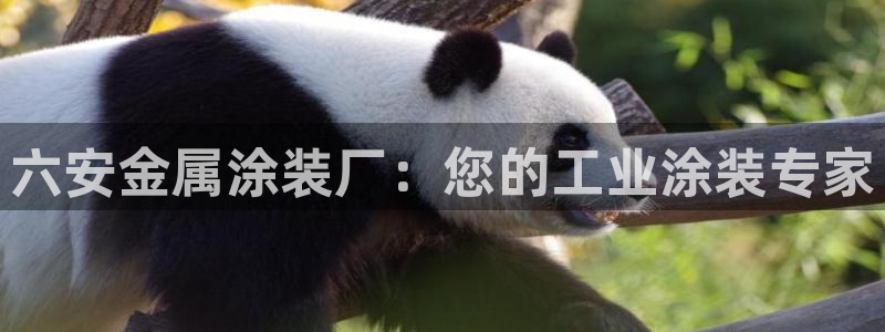 美高梅官网账号是什么