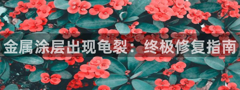 美高梅酒店老板