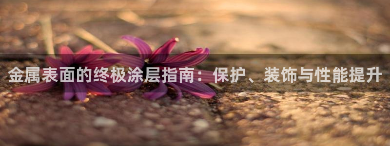 美高梅酒店怎么样