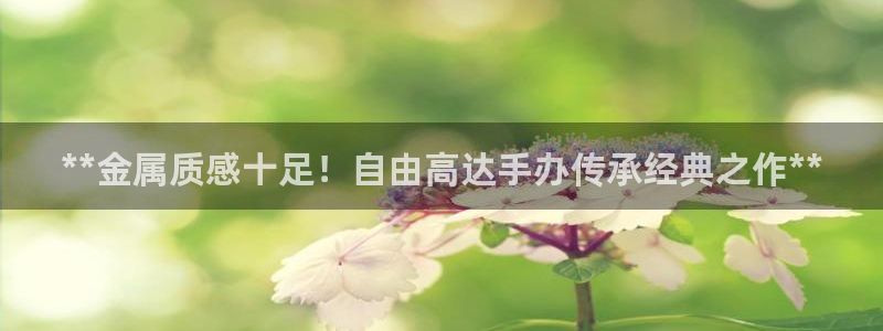 美高梅是个什么公司