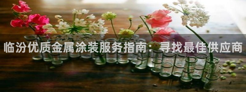 美高梅酒店投资多少亿