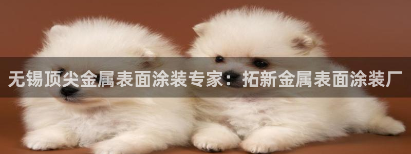 美高梅有多少层