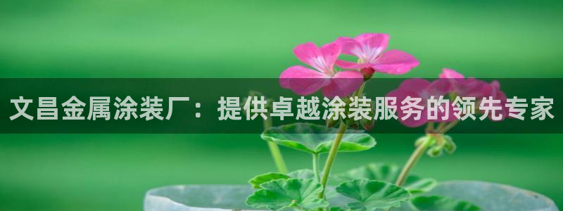 美高梅会员卡多少钱