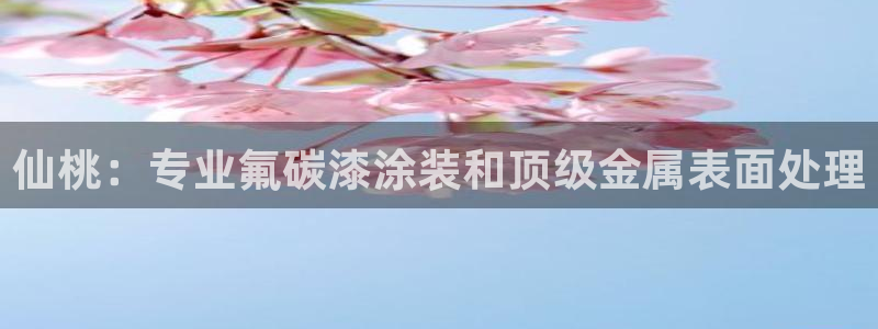 美高梅介绍