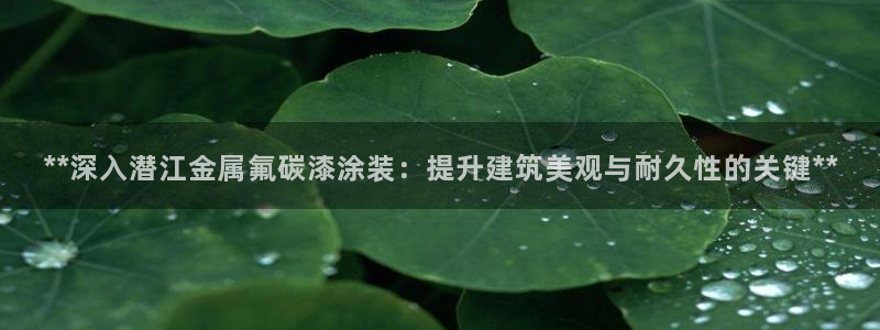 美狮美高梅百度百科