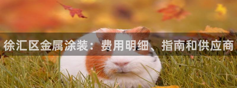 美狮美高梅酒店购物