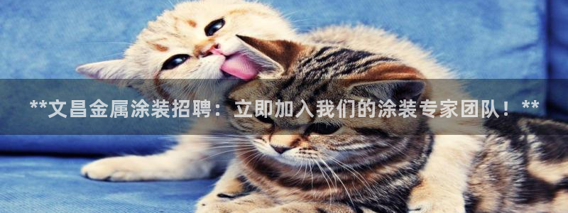 美高梅酒店logo图片高清