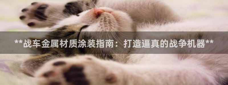 美高梅北京美高美