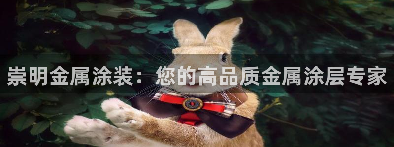 美高梅充值多少钱能提现到微信