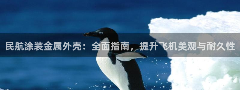 美狮美高梅酒店外观图片