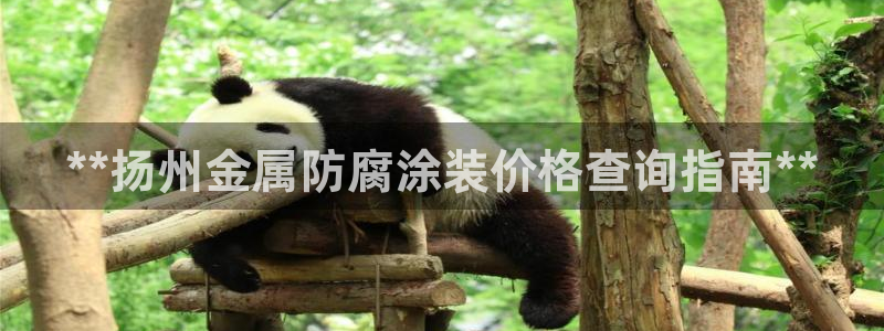 美高梅中国股票2282
