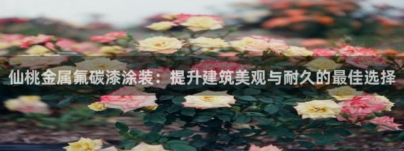美高梅 股票