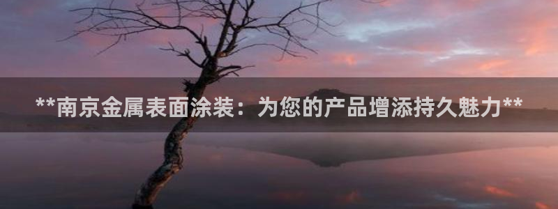 美狮美高梅酒店黑卡