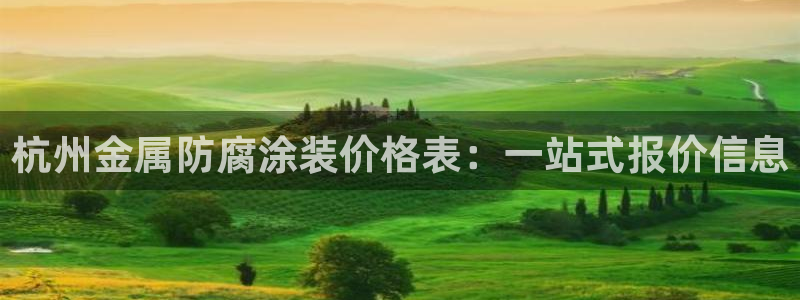 美高梅衣服外套
