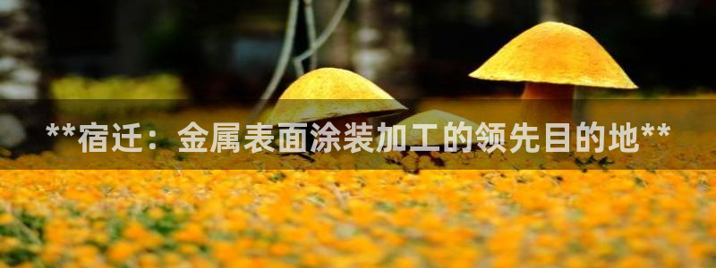 美高梅会员卡办理要提供港澳通行证吗