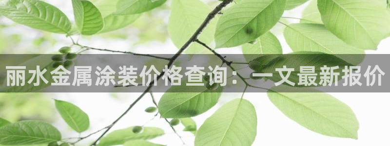 美高梅集团介绍
