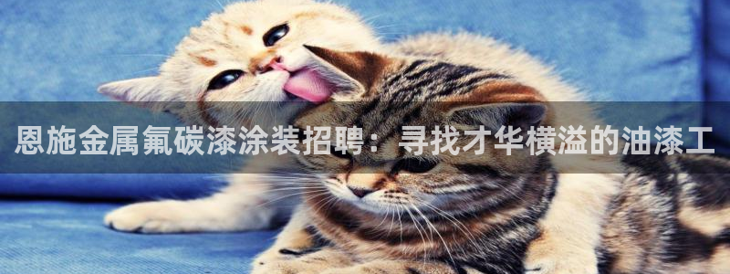 美高梅控股有限公司是国企吗