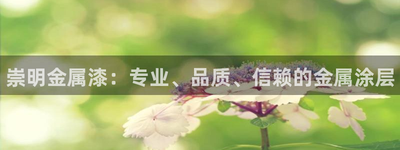 美高梅老板是谁澳门