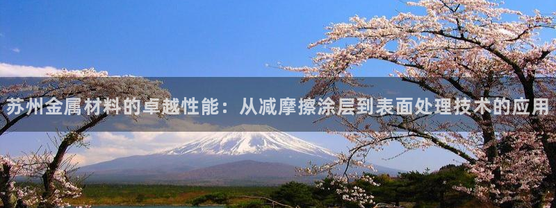何超琼美高梅持股