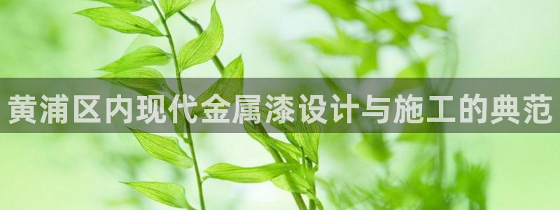 澳门的美高梅是谁的：黄浦区内现代金属漆设