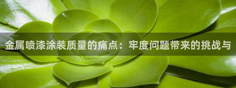 美高梅公司位置