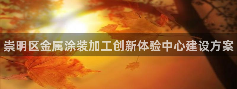 02282美高梅股票