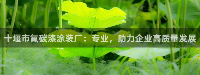 美高梅酒店品牌之夜