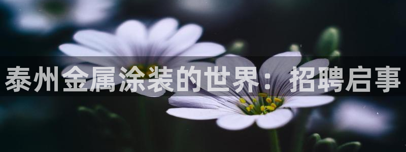 美高梅会员卡可以免宠物清洁费