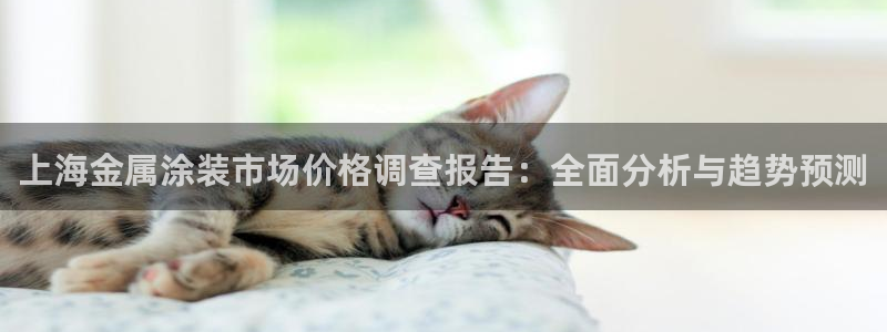 美高梅游戏官网app可以玩吗安卓