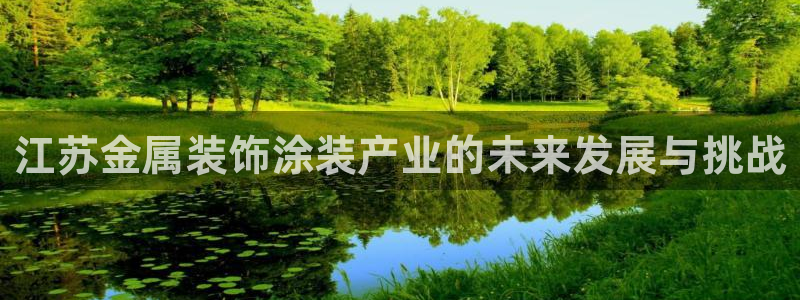 美高梅游戏安卓手机版官网：江苏金属装饰涂