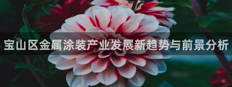 美高梅里的钱冻结了怎么办：宝山区金属涂装