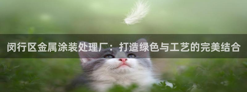 何超琼的美高梅