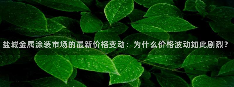美高梅会员卡等级怎么分