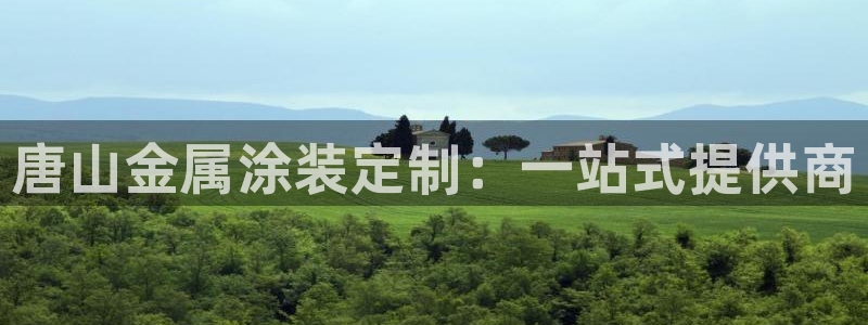 美高梅何超琼香港女首富