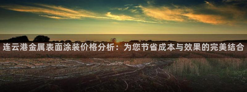 美高梅中国集团简介