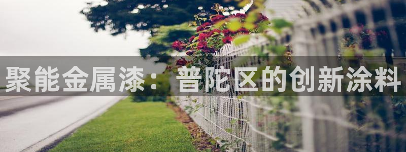 美高梅酒店ka秀价格：聚能金属漆：普陀区