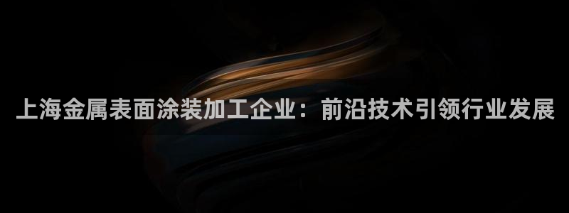 美高梅中国何超琼：上海金属表面涂装加工企