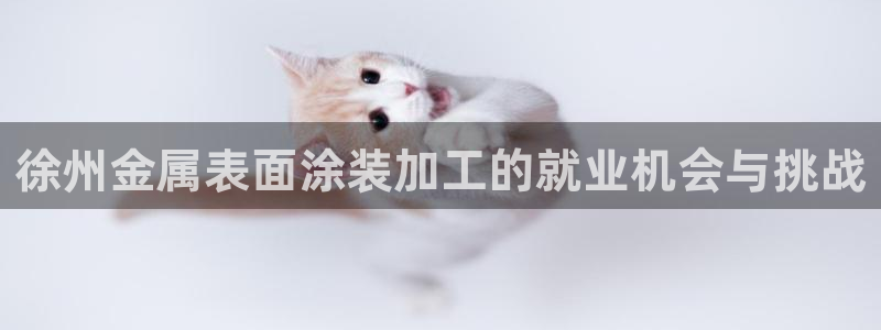 美高梅酒店员工待遇