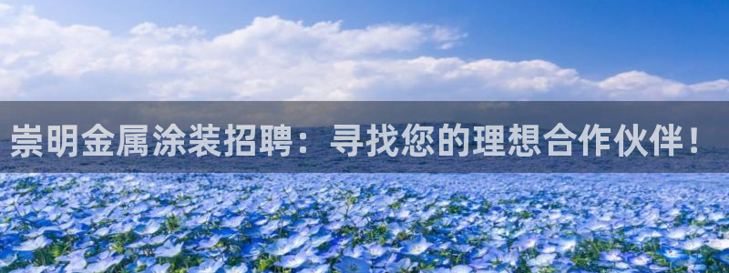 美高梅中国有限公司