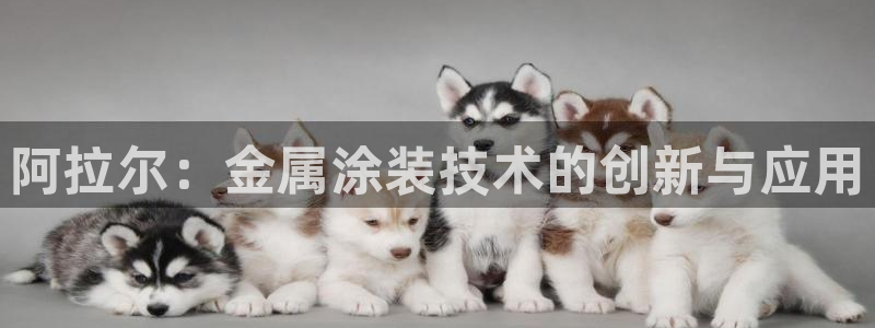 美高梅国际酒店集团