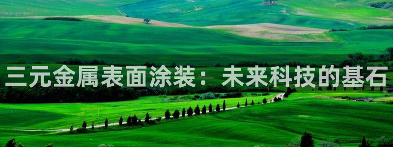 美高梅认养大熊猫