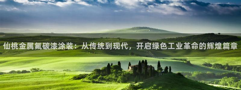 美高梅公司全称是什么