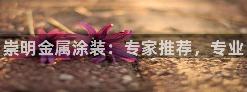 美高梅酒店上海