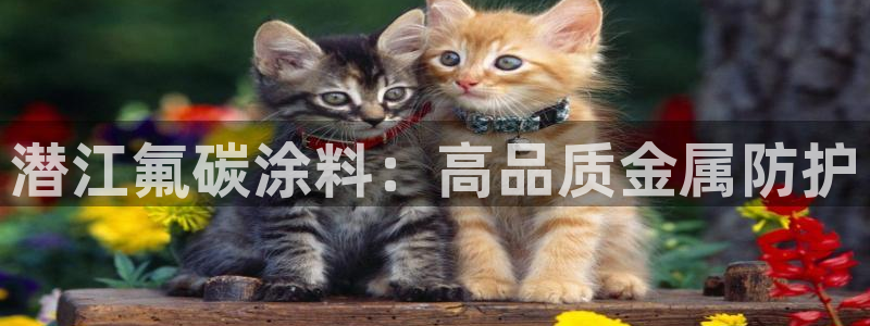 美高梅房价多少丰台