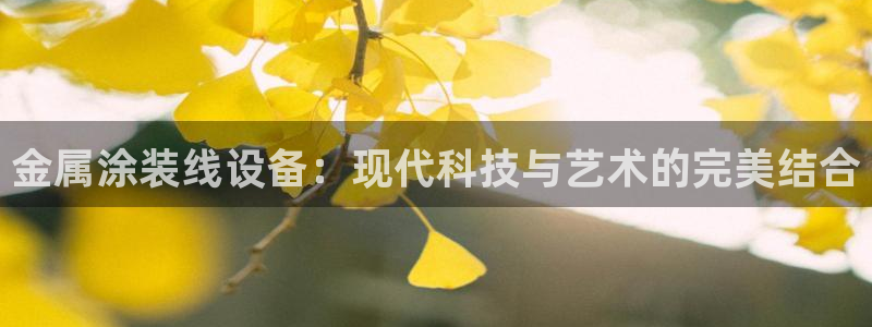 美高梅度假酒店会员卡