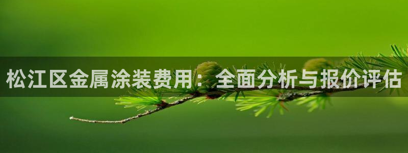 美高梅酒店为什么是狮子：松江区金属涂装费