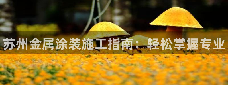 美高梅大酒店老板是谁