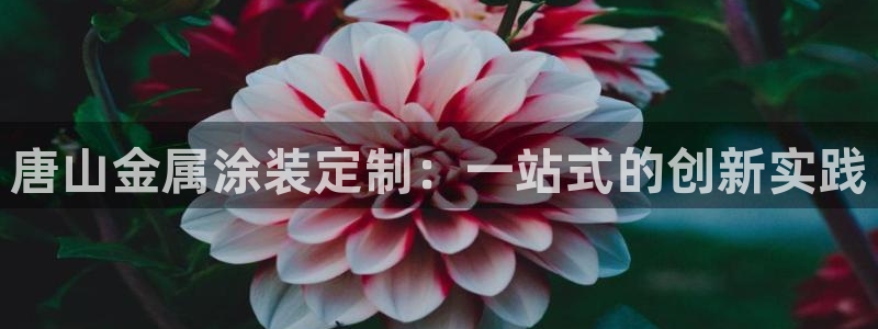 美高梅网络平台游戏靠谱吗